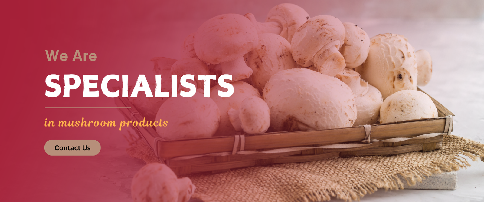 Add a heading (1920 x 800 px)