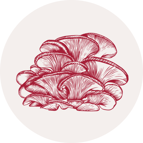 Dry Oyster Mushroom